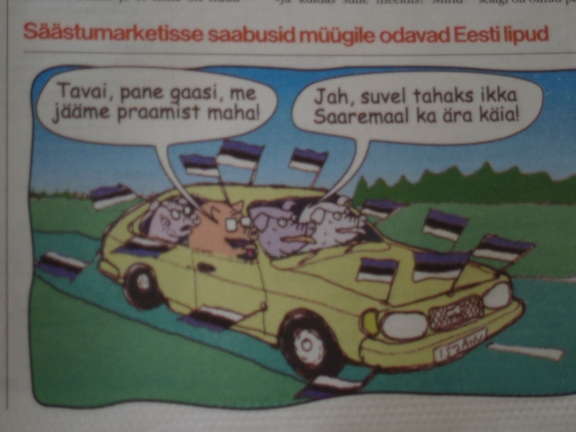 Pilt